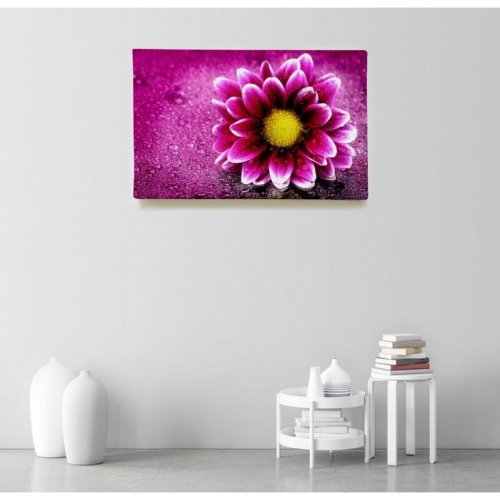 Gerbera rose  - SWEET MURALE