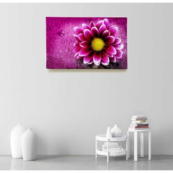 Pink gerbera  - SWEET MURALE