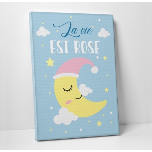 Life is pink -  Illustrations - SWEET MURALE