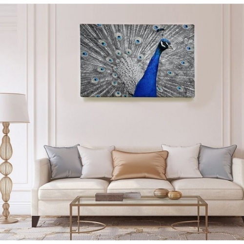 Paon Bleu  - SWEET MURALE