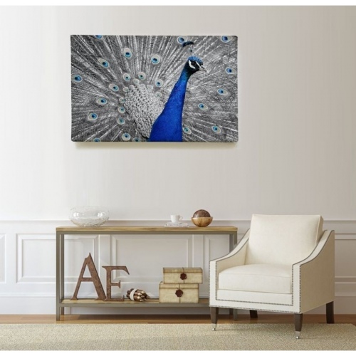 Paon Bleu  - SWEET MURALE