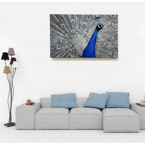 Paon Bleu  - SWEET MURALE