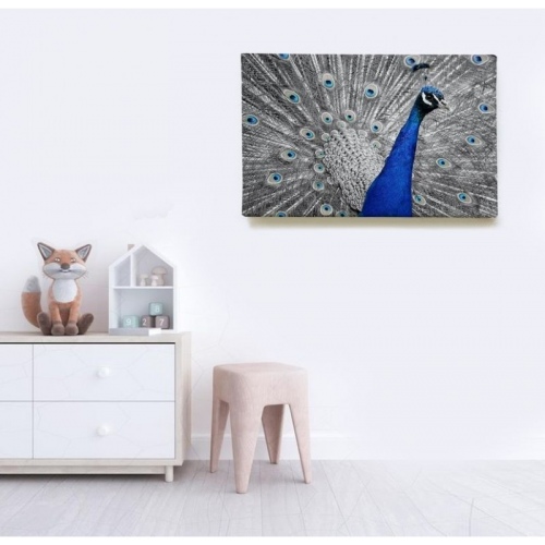 Paon Bleu  - SWEET MURALE