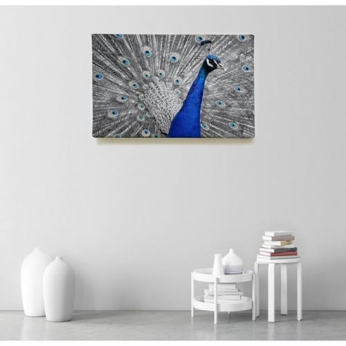 Paon Bleu  - SWEET MURALE