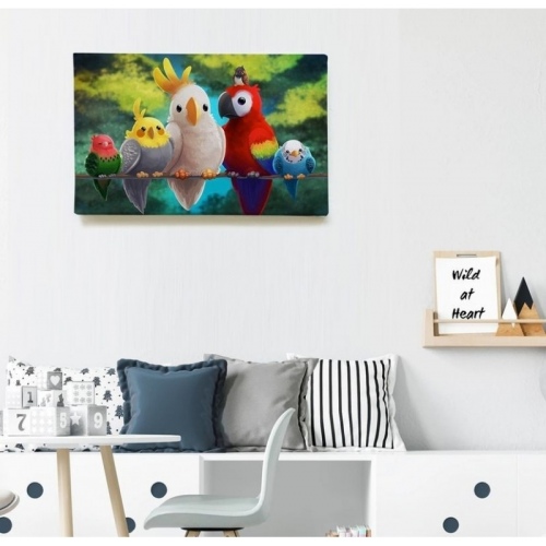 Perroquets  - SWEET MURALE
